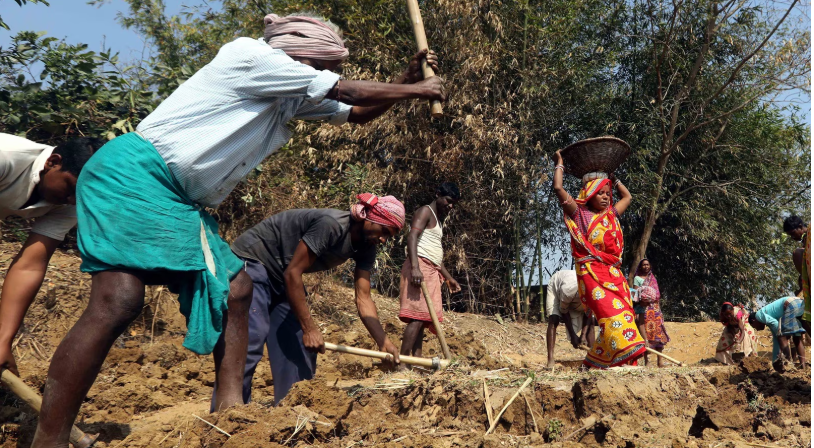 MGNREGA in Andhra Pradesh: From Guarantee to Uncertainity