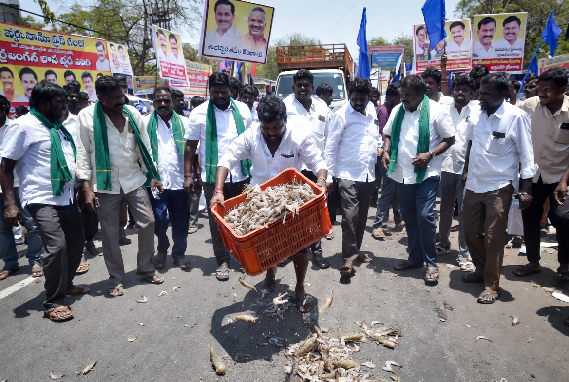 From Pond to Protest: Dire Situation of Andhra Aqua Farmers