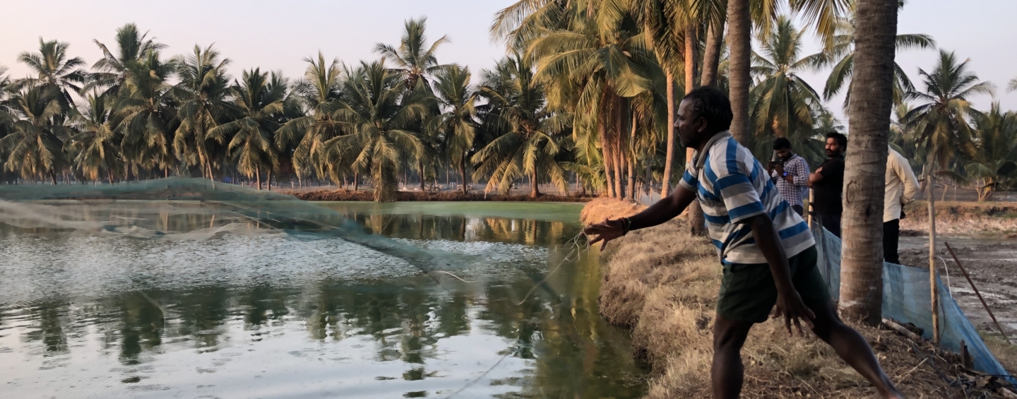 Betraying the Blue Economy: The Backdoor Exploitation of Aqua Farmers