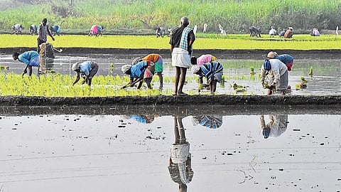 Neglecting the Soil: How the TDP-JSP Alliance is Leaving Farmers Stranded Ahead of Kharif Season