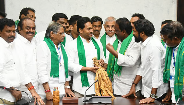 TDP Government Leaves Tobacco Farmers in Distress: Only 16.5% Crop Procured After 94 Days