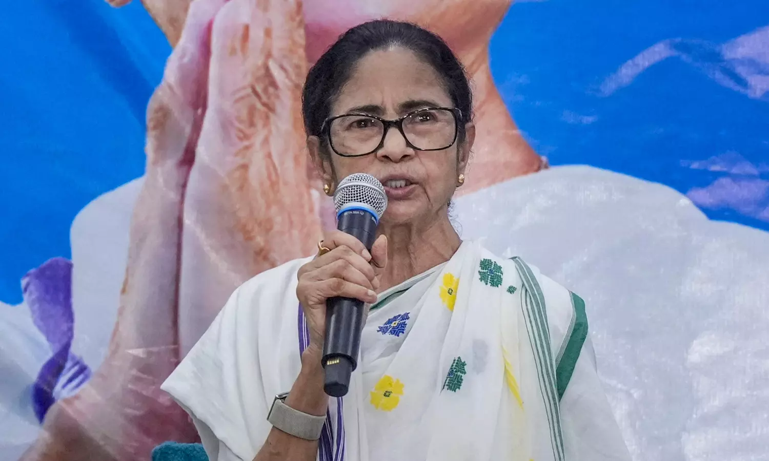 Mamata Banerjee moves SC challenging EC's decision to freeze party name, symbol