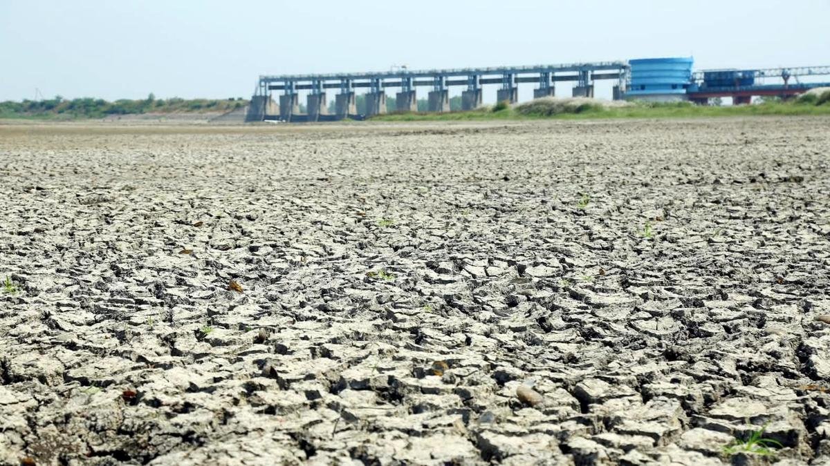Telangana govt declares 365 mandals as drought affected
