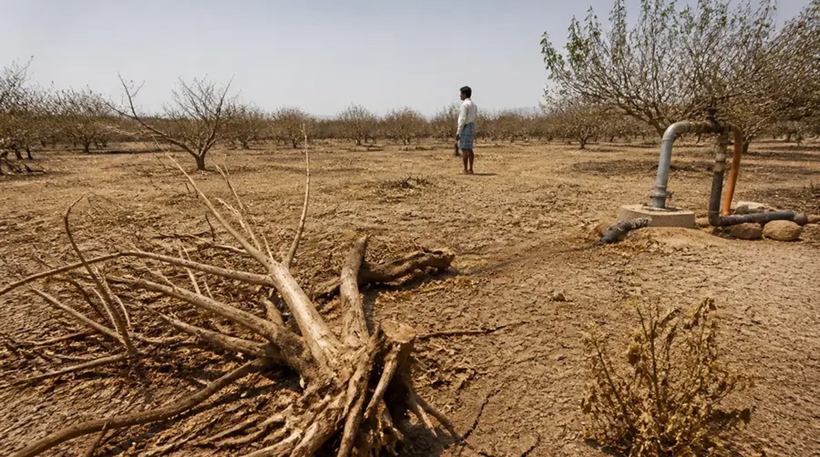 El Niño-Linked Drought Forces Thousands of Farming Families to Leave Kurnool Villages